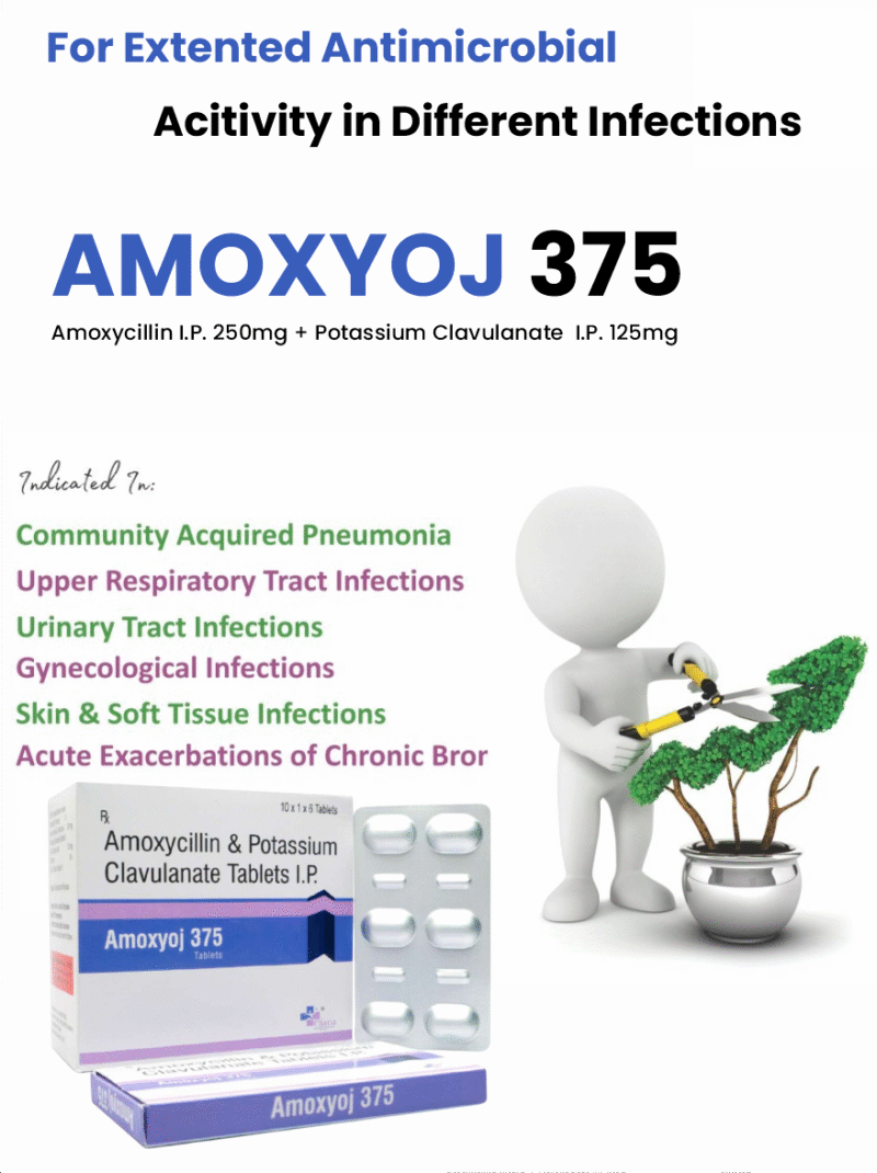 Amoxyoj-375