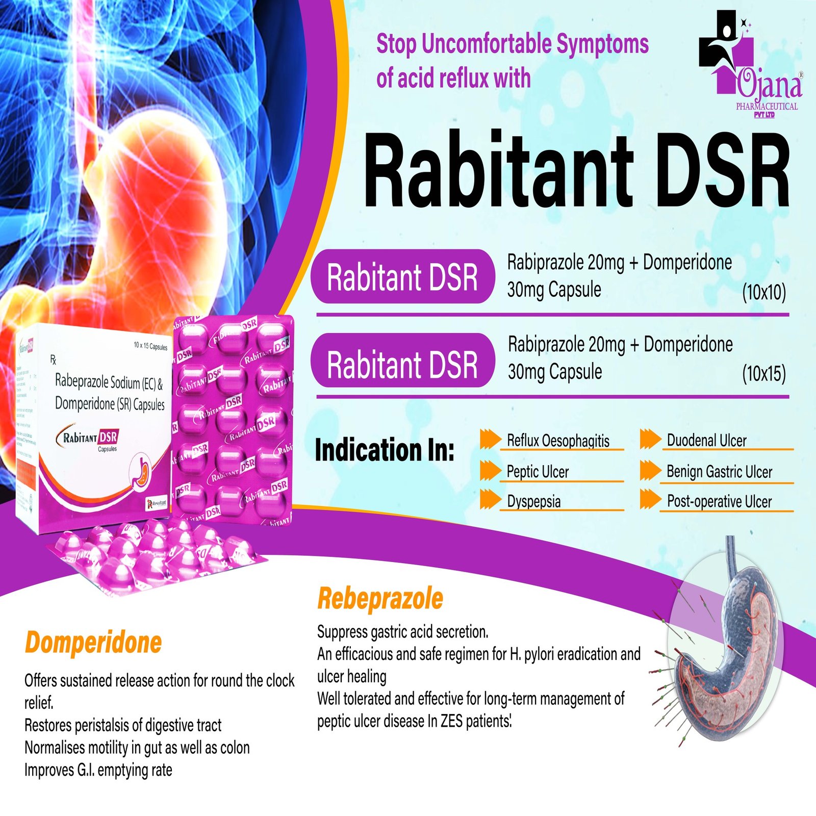 RABITANT DSR (10x10)