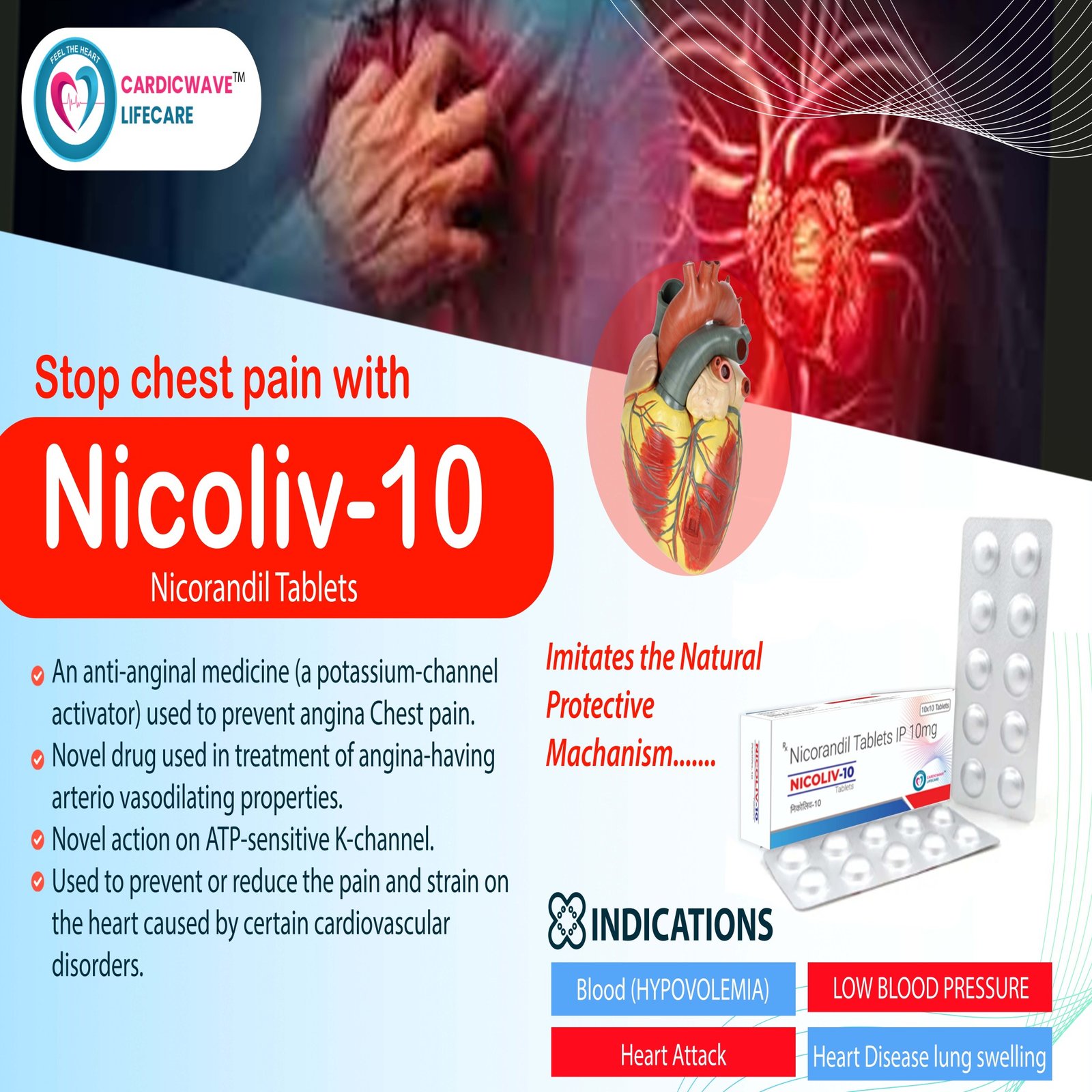 Nicoliv-10